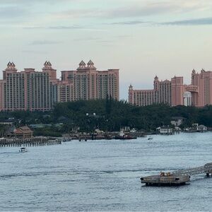 Meet your Posher, Ann